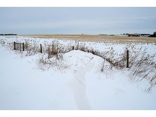 Property photo 29 - AUCTION, 206 Contiguous Acres offered in 5 Tracts